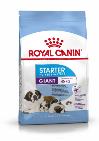 Giant Starter Mother & Babydog